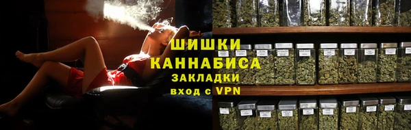 стафф Гусев