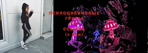 стафф Гусев