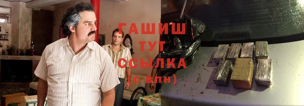 стафф Гусев