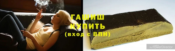 стафф Гусев