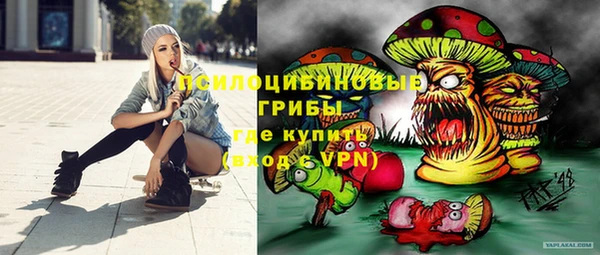 прущий лед Гусь-Хрустальный