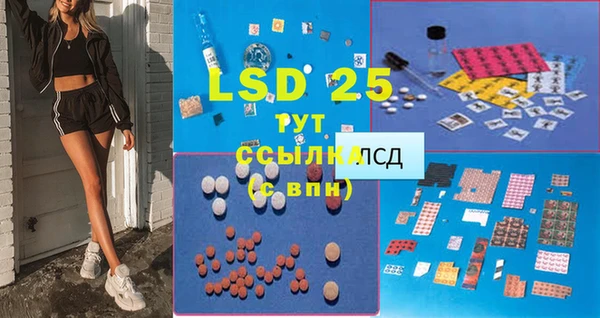 стафф Гусев