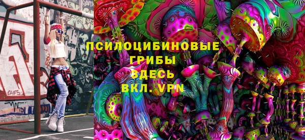 тгк Медногорск