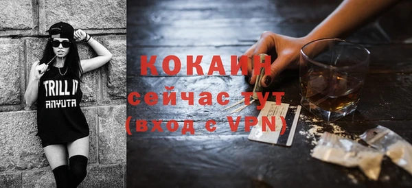 стафф Гусев