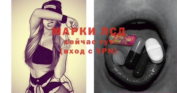 стафф Гусев
